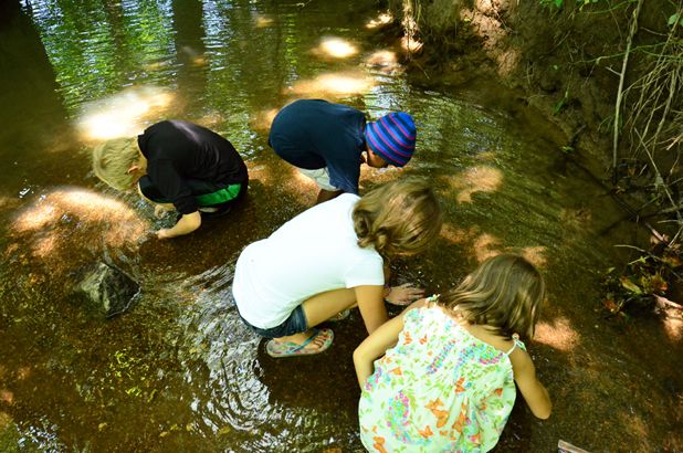 children-playing-in-creek