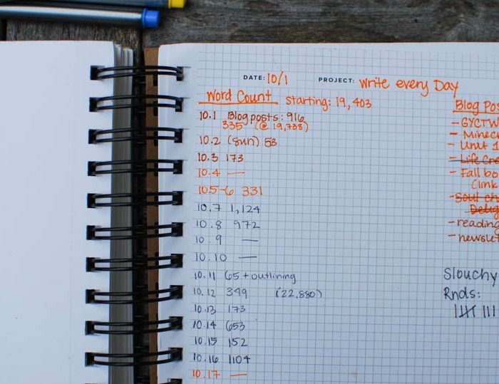 The Best of Both Worlds: Bullet Journaling with a Planner